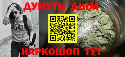 шишки Камышлов